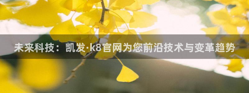 星耀国际平台管网入口