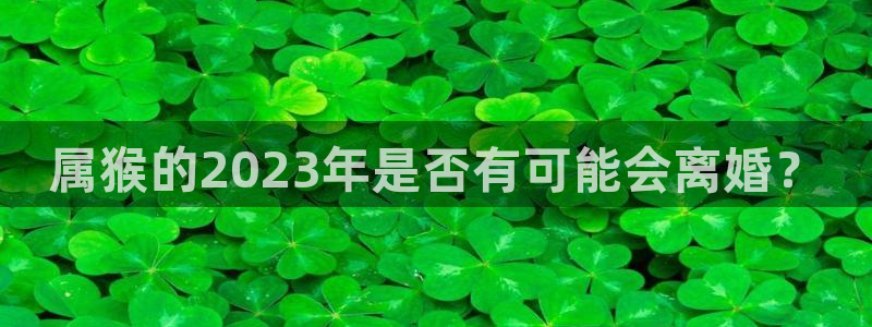 星耀国际是大平台吗：属猴的2023年是否有可能会离婚？