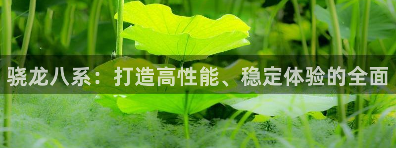 星耀国际官网版下载链接：骁龙八系：打造高性能、稳定体验的全面