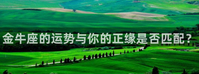 星耀国际3注册：金牛座的运势与你的正缘是否匹配？