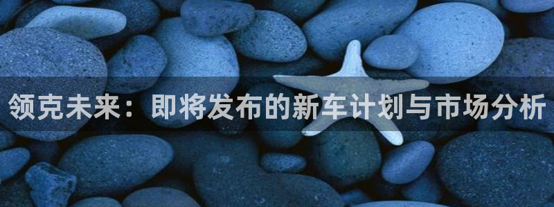 星耀国际4官网：领克未来：即将发布的新车计划与市场分析