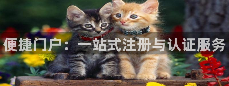 星耀国际体育官网入口登录：便捷门户：一站式注册与认证服务