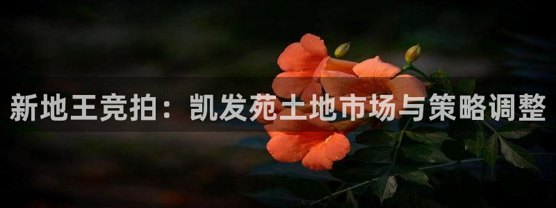 星耀国际体育游戏：新地王竞拍：凯发苑土地市场与策略调整