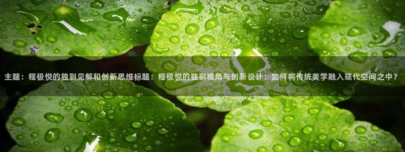 星耀国际是什么平台：主题：程极悦的独到见解和创新思维标题：程极悦的独到视角与创新