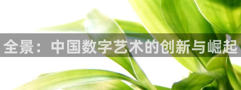 星耀国际平台注册账号：全景：中国数字艺术的创新与崛起