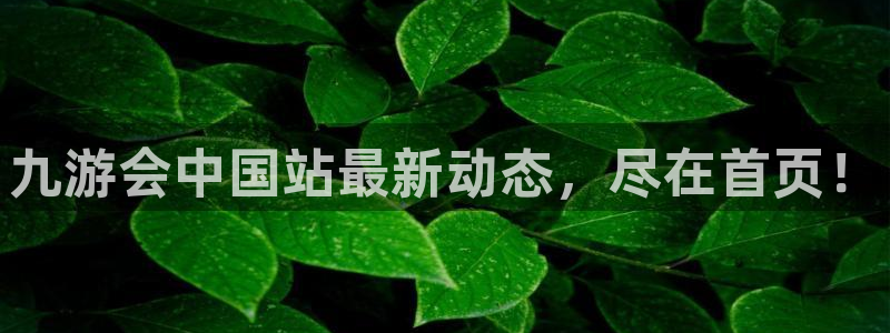 星耀国际3登录：九游会中国站最新动态，尽在首页！