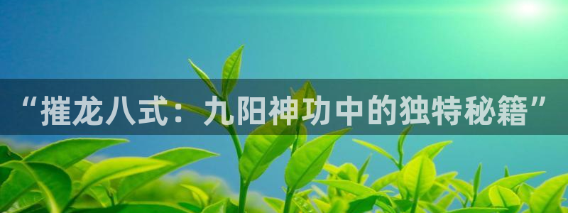 星耀国际有梦你就来：“摧龙八式：九阳神功中的独特秘籍”