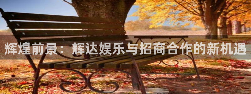 星耀国际.ccm苹果版：辉煌前景：辉达娱乐与招商合作的新机遇