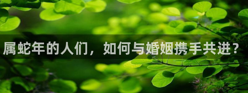 星耀国际凯捷平台注册链接：属蛇年的人们，如何与婚姻携手共进？