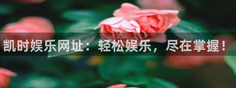 星耀国际体育官网入口登录：凯时娱乐网址：轻松娱乐，尽在掌握！