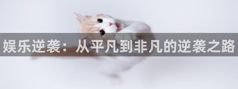 星耀国际app注册地址：娱乐逆袭：从平凡到非凡的逆袭之路
