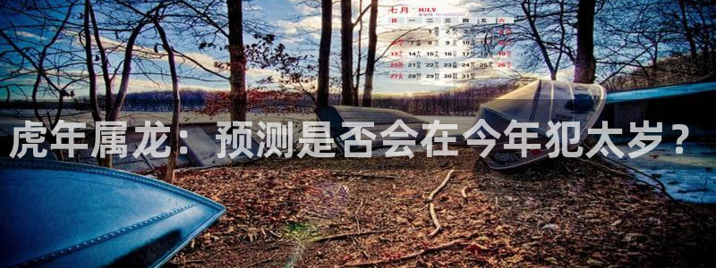 星耀国际在线预测：虎年属龙：预测是否会在今年犯太岁？