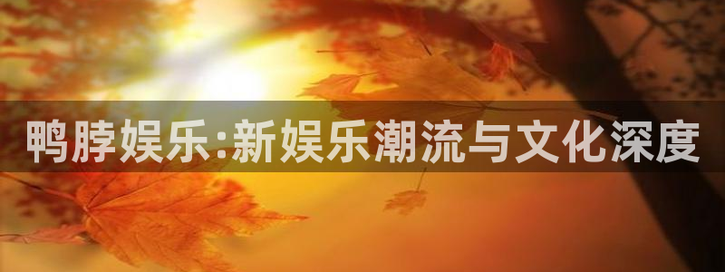 星耀国际4登录：鸭脖娱乐:新娱乐潮流与文化深度