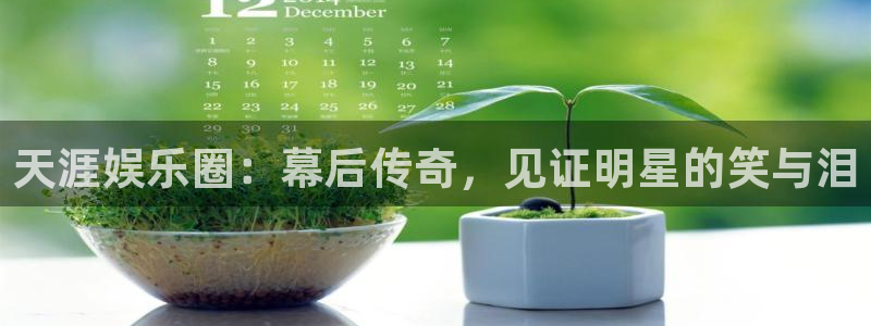 星耀国际电玩网官网入口：天涯娱乐圈：幕后传奇，见证明星的笑与泪