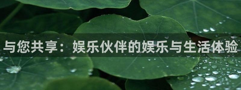 星耀国际：与您共享：娱乐伙伴的娱乐与生活体验