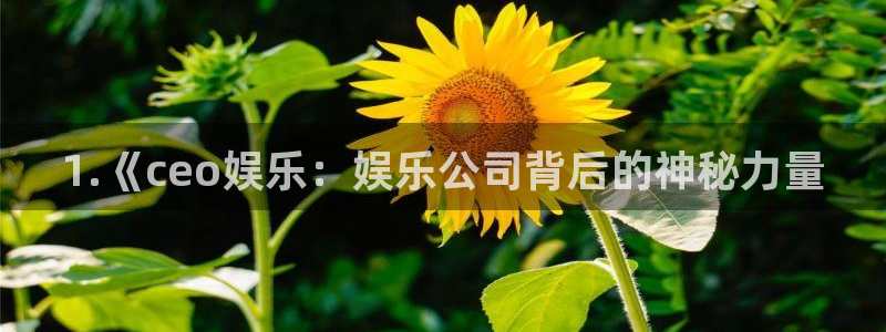 星耀国际4登录：1.《ceo娱乐：娱乐公司背后的神秘力量