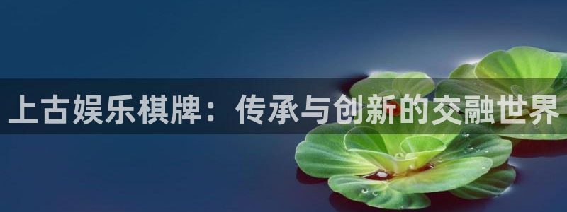星耀国际电子游戏网页版：上古娱乐棋牌：传承与创新的交融世界