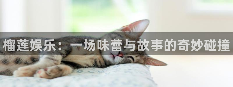 星耀国际平台：榴莲娱乐：一场味蕾与故事的奇妙碰撞