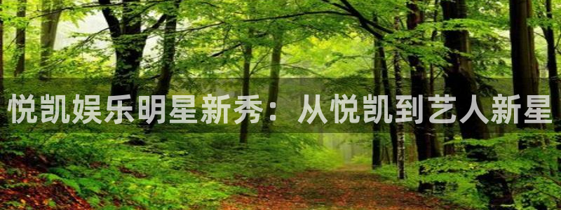南宫星耀国际：悦凯娱乐明星新秀：从悦凯到艺人新星