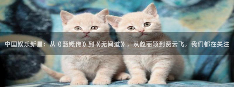 星耀国际主管：中国娱乐新星：从《甄嬛传》到《无间道》，从赵丽颖到贾云飞，我们都在