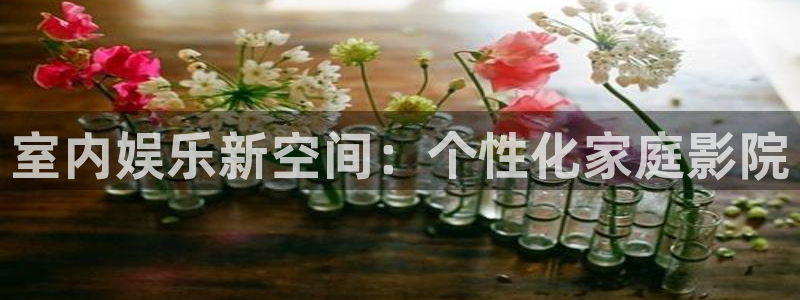星耀国际官方网站：室内娱乐新空间：个性化家庭影院