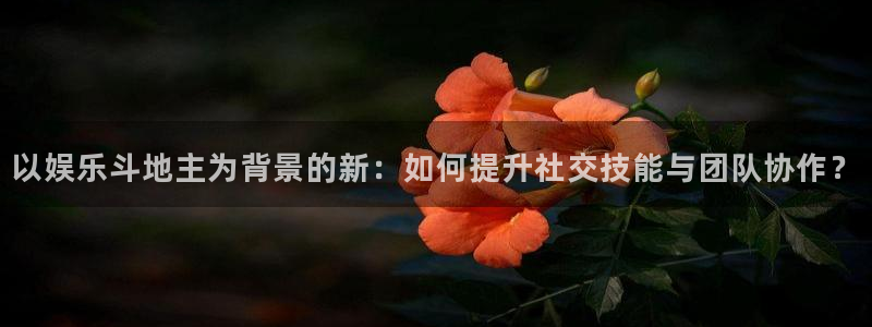 星耀国际4开户：以娱乐斗地主为背景的新：如何提升社交技能与团队协作？