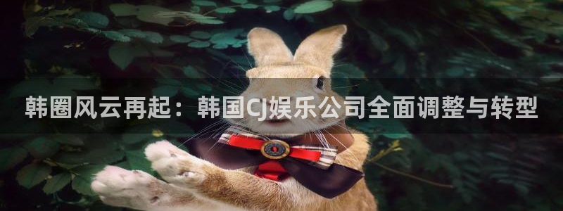 星耀国际3代理：韩圈风云再起：韩国CJ娱乐公司全面调整与转型