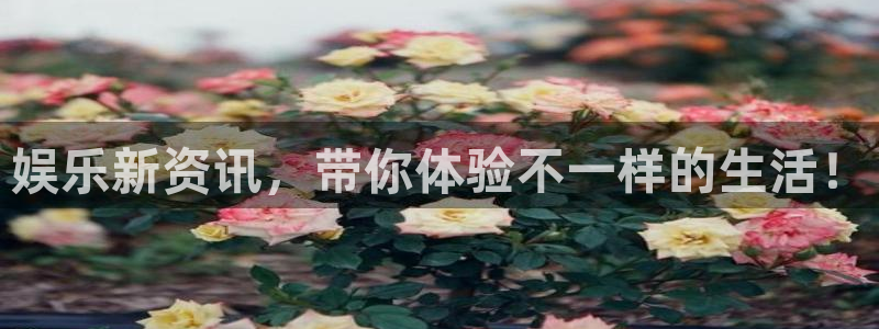 星耀国际平台下载入口