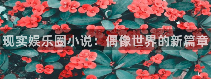 星耀国际下载并安装