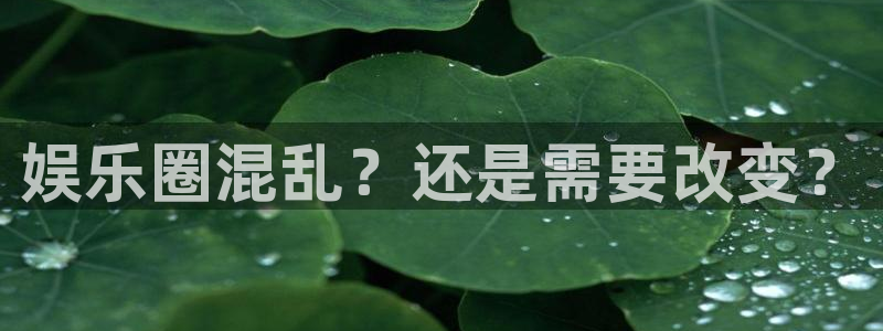南宫星耀国际官网版：娱乐圈混乱？还是需要改变？